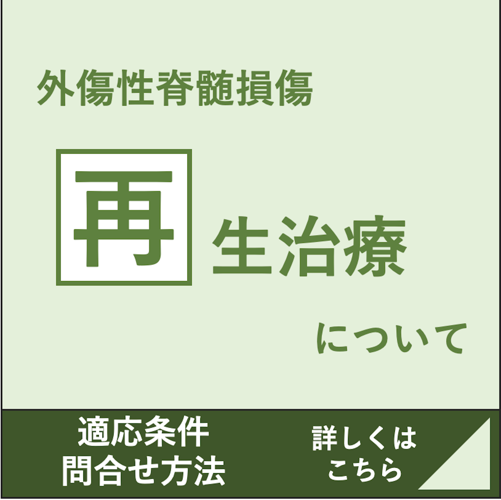 外傷性脊髄損傷 再生治療について